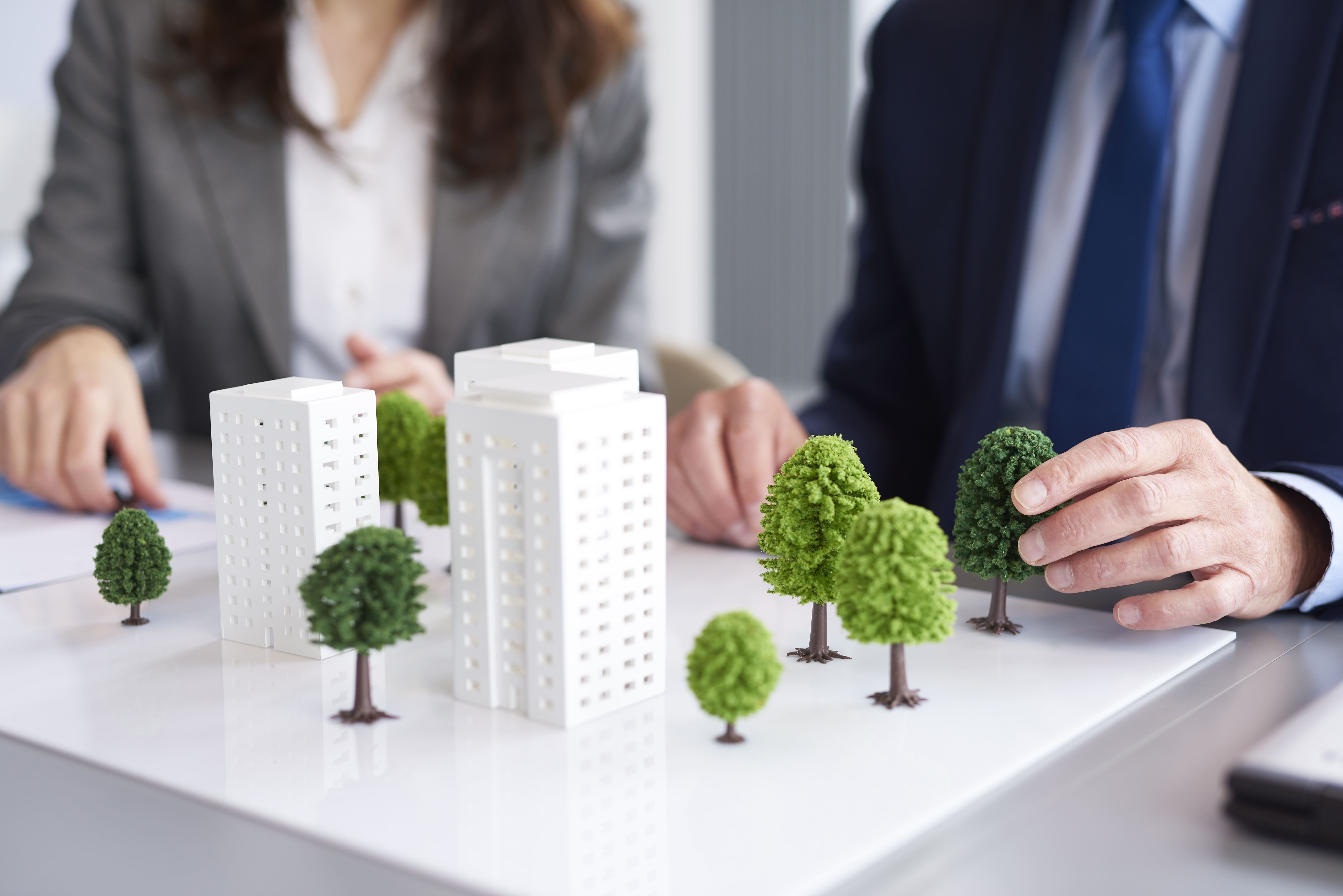 Land & Property Management
